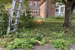 einfangen-eines-bienen-scharms-am-ukm-ablegerkasten-2020